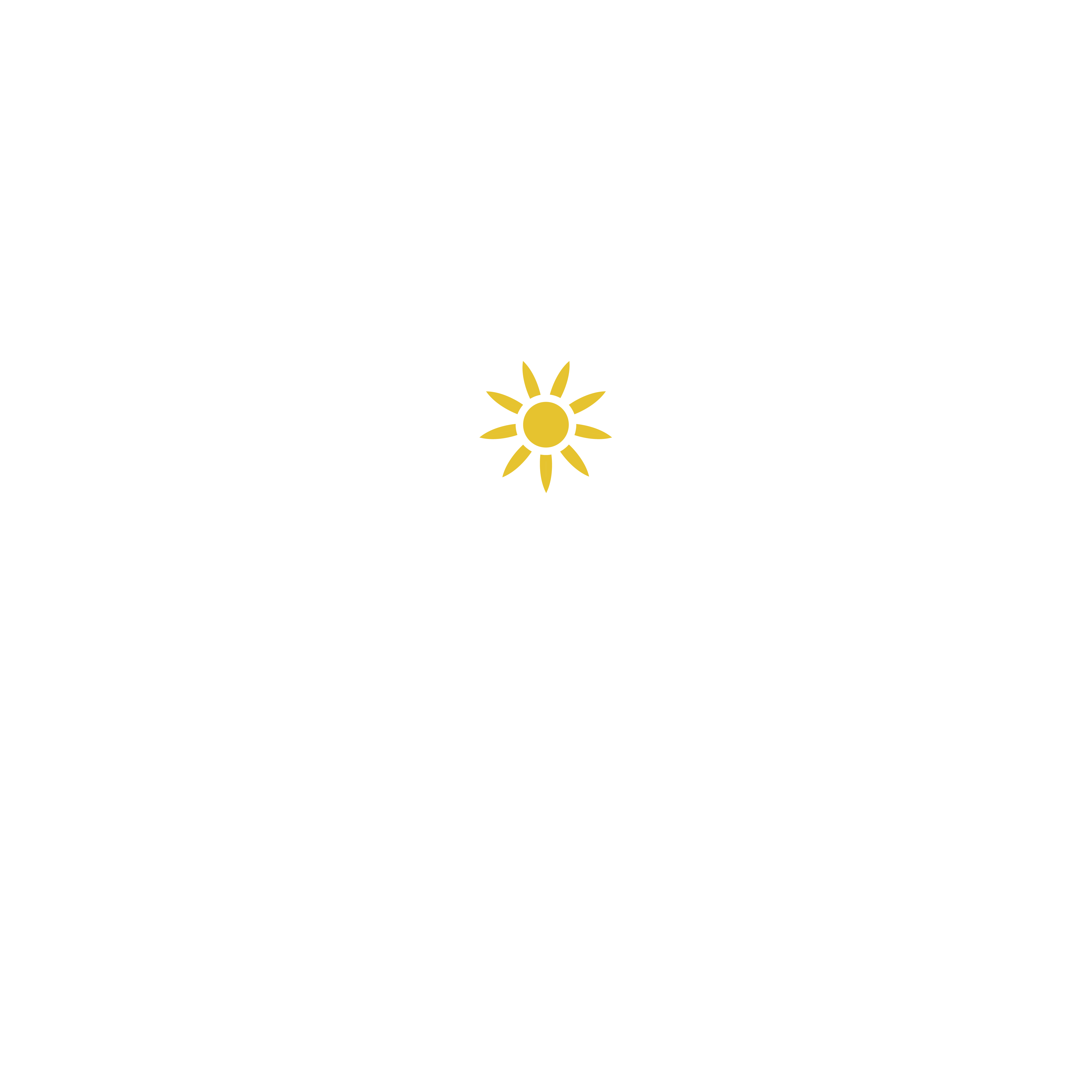 INTRACOM