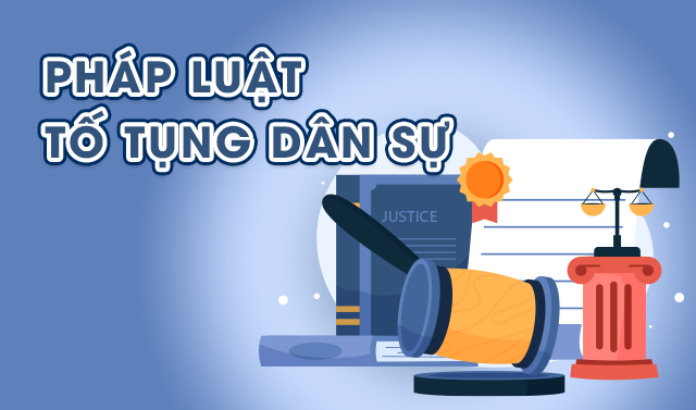 Pháp luật tố tụng dân sự (Luyện thi)